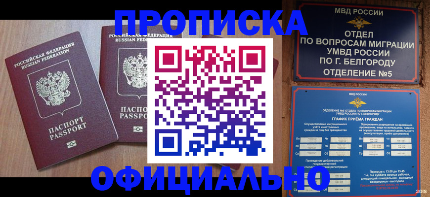найти адрес прописки в Калуге